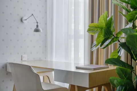 Study room, white desk in front of window with plant