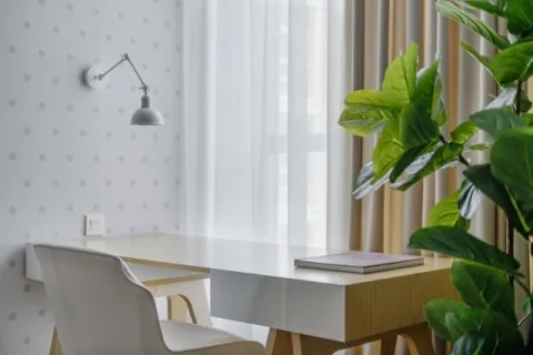 White desk with plant