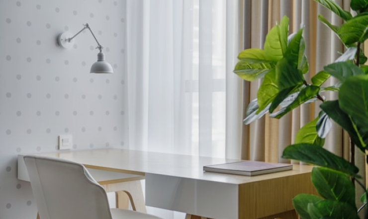 White Desk with plant
