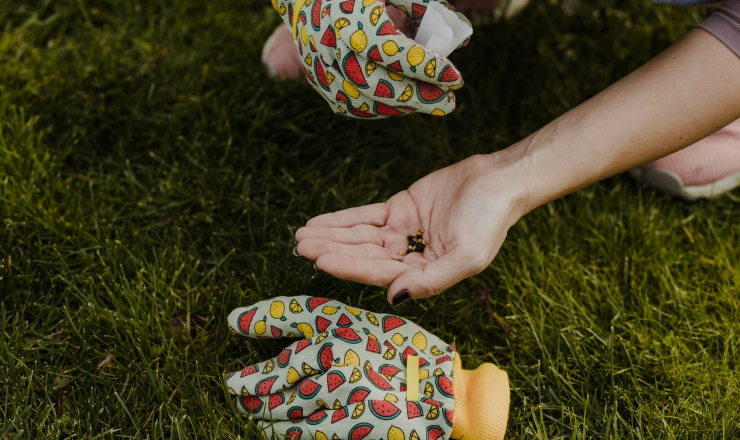 Person planting Seeds