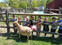 Museum & Nature Center children petting sheep